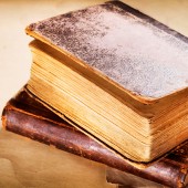 Etiam dictum egestas